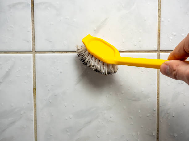Best Mold Cleaning Services  in Goose Creek, SC
