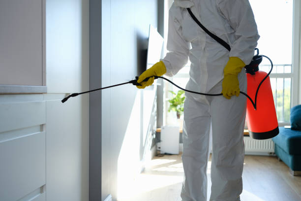 Best Toxic Mold Removal  in Goose Creek, SC