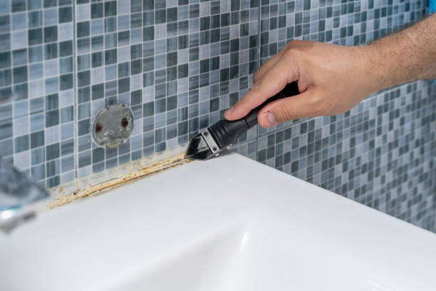 Best Mold Removal Company Near Me  in Goose Creek, SC
