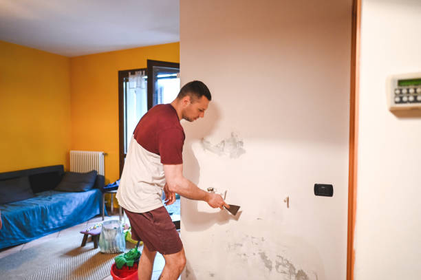 Best Certified Mold Removal  in Goose Creek, SC